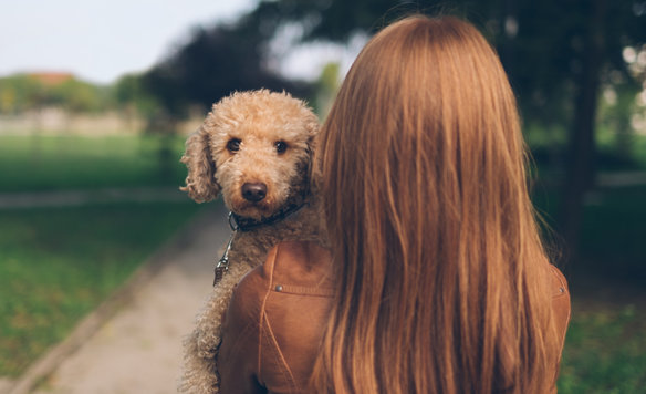 Trained Kennel Technicians