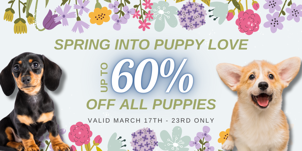 wichita spring sale